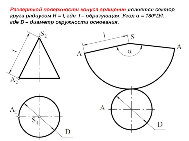 Разверткой поверхности конуса вращения является сектор круга радиусом R = l, где l