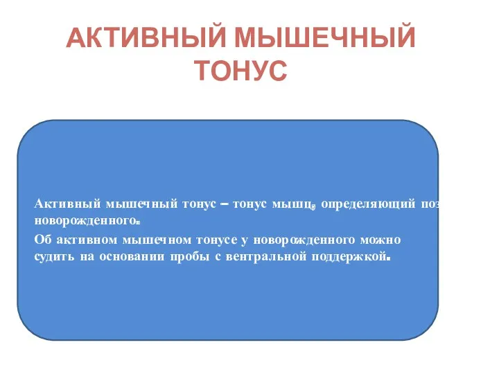 АКТИВНЫЙ МЫШЕЧНЫЙ ТОНУС Активный мышечный тонус – тонус мышц, определяющий