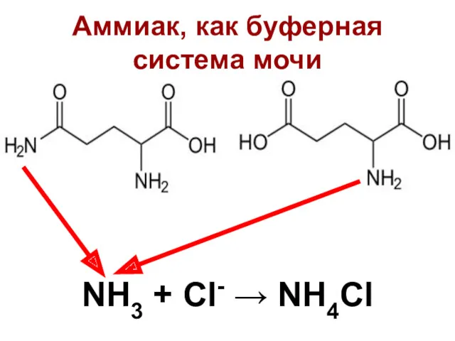 Аммиак, как буферная система мочи NH3 + Cl- → NH4Cl