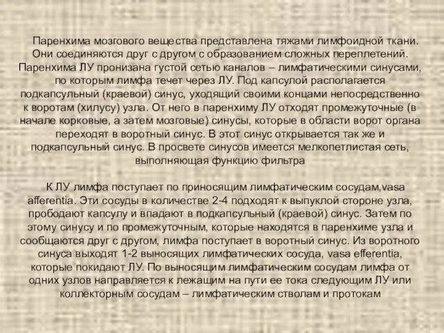 Паренхима мозгового вещества представлена тяжами лимфоидной ткани. Они соединяются друг