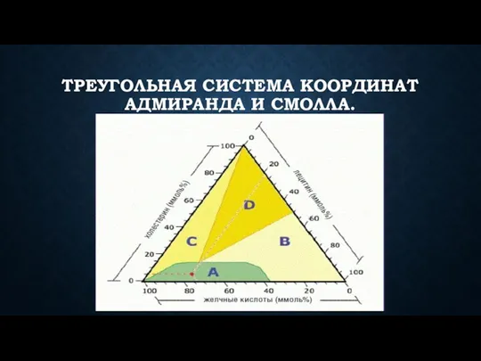 ТРЕУГОЛЬНАЯ СИСТЕМА КООРДИНАТ АДМИРАНДА И СМОЛЛА.