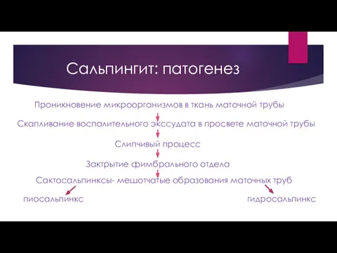 Сальпингит: патогенез Скапливание воспалительного экссудата в просвете маточной трубы Слипчивый