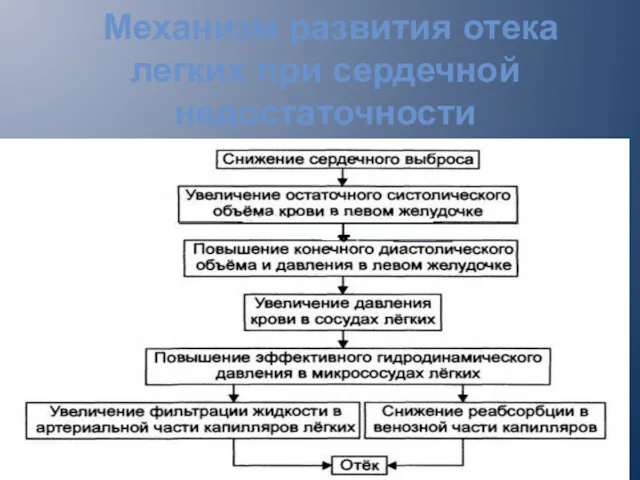 Механизм развития отека легких при сердечной недостаточности