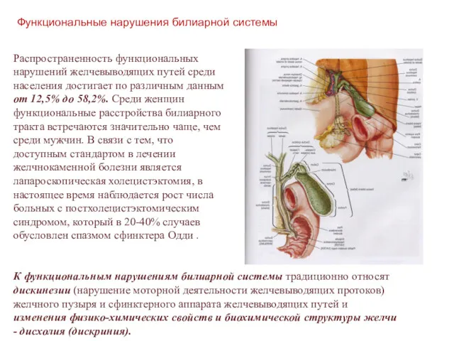 Функциональные нарушения билиарной системы Распространенность функциональных нарушений желчевыводящих путей среди населения достигает по