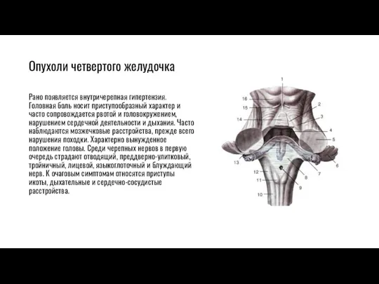 Опухоли четвертого желудочка Рано появляется внутричерепная гипертензия. Головная боль носит