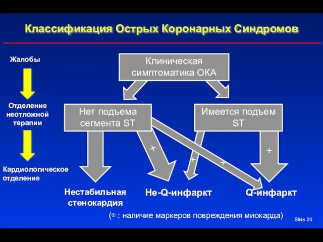 Slide + + Клиническая симптоматика ОКА Нет подъема сегмента ST