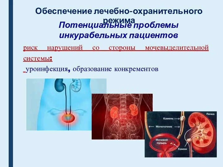 Обеспечение лечебно-охранительного режима Потенциальные проблемы инкурабельных пациентов риск нарушений со стороны мочевыделительной системы: уроинфекция, образование конкрементов