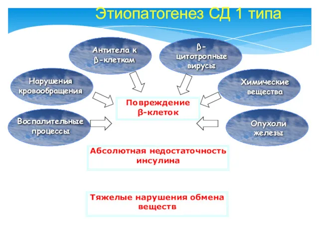 Этиопатогенез СД 1 типа Повреждение β-клеток β-цитотропные вирусы Нарушения кровообращения