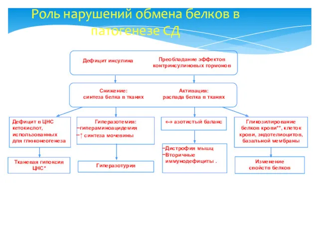 Роль нарушений обмена белков в патогенезе СД Дефицит инсулина Снижение: