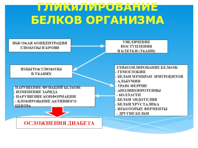 ГЛИКиЛИРОВАНИЕ БЕЛКОВ ОРГАНИЗМА ВЫСОКАЯ КОНЦЕНТРАЦИЯ ГЛЮКОЗЫ В КРОВИ УВЕЛИЧЕНИЕ ПОСТУПЛЕНИЯ