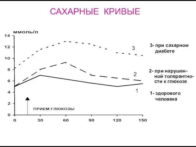 САХАРНЫЕ КРИВЫЕ 1- здорового человека 2- при нарушен- ной толерантно- сти к глюкозе