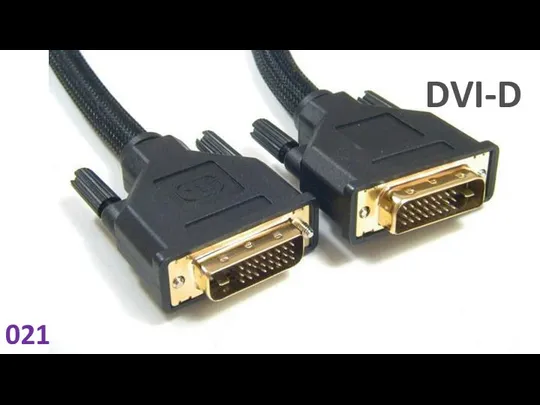 DVI-D 021