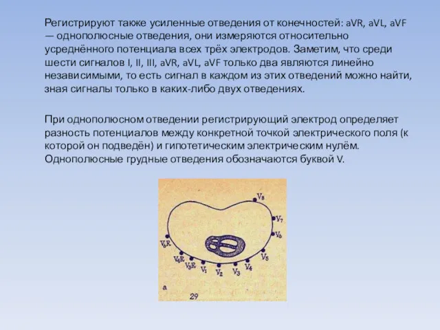 Регистрируют также усиленные отведения от конечностей: aVR, aVL, aVF —