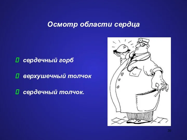 Осмотр области сердца сердечный горб верхушечный толчок сердечный толчок.