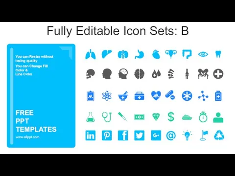 Fully Editable Icon Sets: B