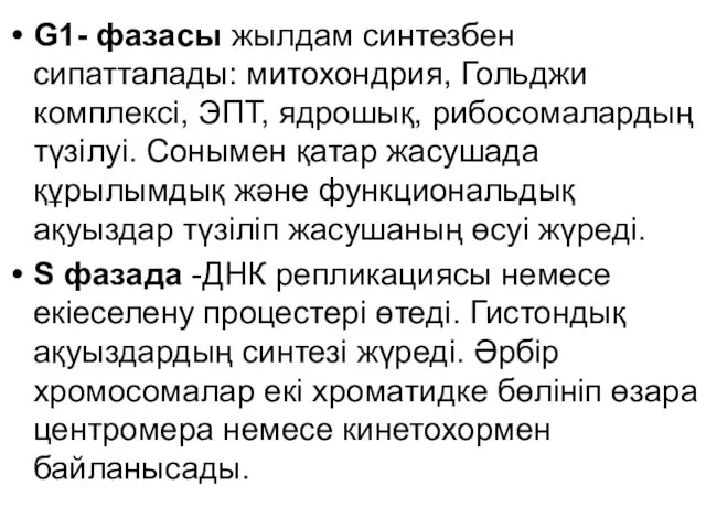 G1- фазасы жылдам синтезбен сипатталады: митохондрия, Гольджи комплексі, ЭПТ, ядрошық,