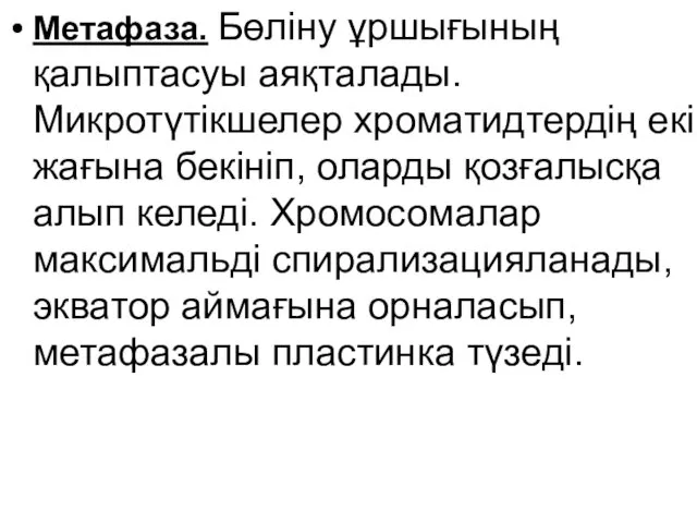 Метафаза. Бөліну ұршығының қалыптасуы аяқталады. Микротүтікшелер хроматидтердің екі жағына бекініп,