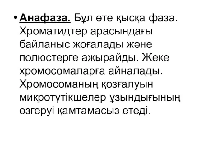 Анафаза. Бұл өте қысқа фаза. Хроматидтер арасындағы байланыс жоғалады және