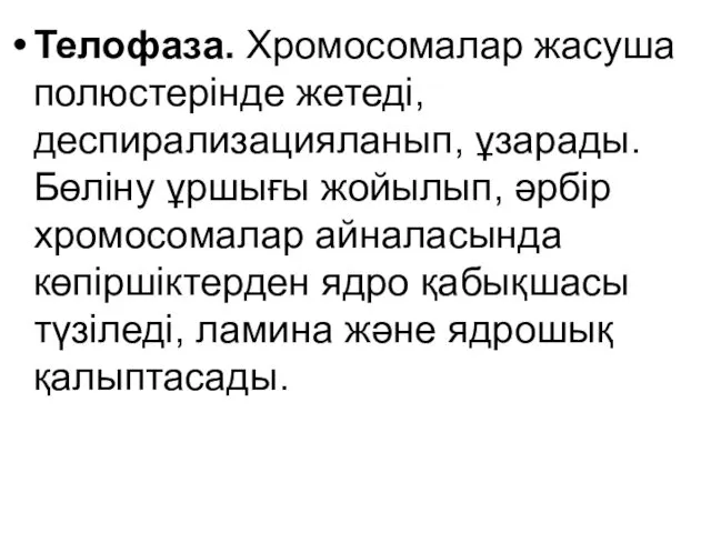 Телофаза. Хромосомалар жасуша полюстерінде жетеді, деспирализацияланып, ұзарады. Бөліну ұршығы жойылып,