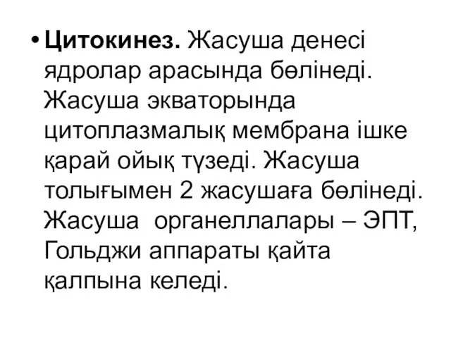 Цитокинез. Жасуша денесі ядролар арасында бөлінеді. Жасуша экваторында цитоплазмалық мембрана