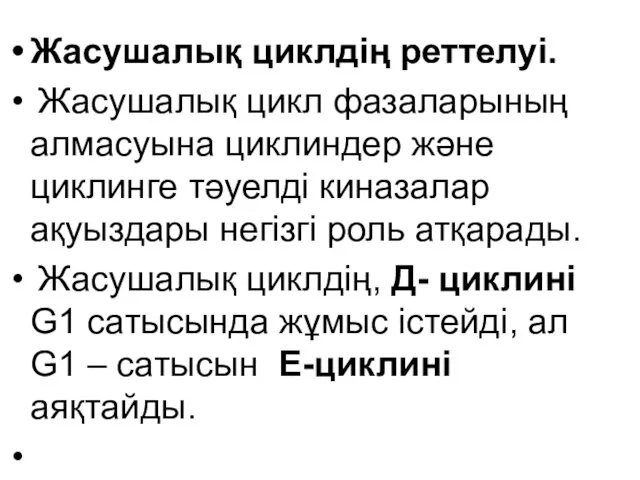 Жасушалық циклдің реттелуі. Жасушалық цикл фазаларының алмасуына циклиндер және циклинге