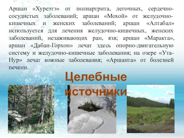 Аршан «Хуреэтэ» от полиартрита, легочных, сердечно-сосудистых заболеваний; аршан «Мохой» от