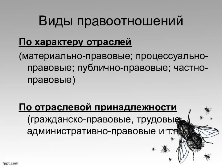 Виды правоотношений По характеру отраслей (материально-правовые; процессуально-правовые; публично-правовые; частно-правовые) По