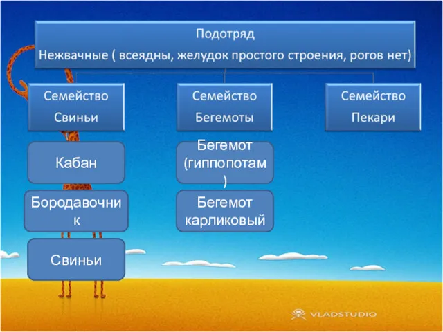 Кабан Бородавочник Свиньи Бегемот (гиппопотам) Бегемот карликовый