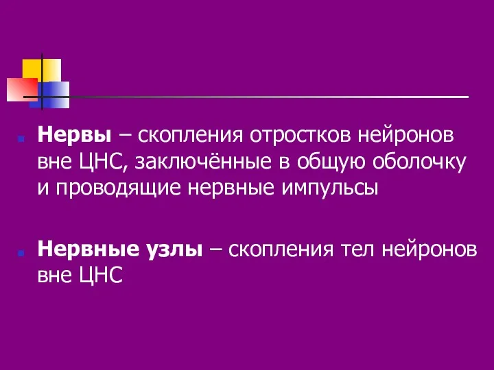 Нервы – скопления отростков нейронов вне ЦНС, заключённые в общую