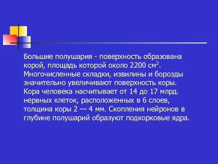 Большие полушария - поверхность образована корой, площадь которой около 2200