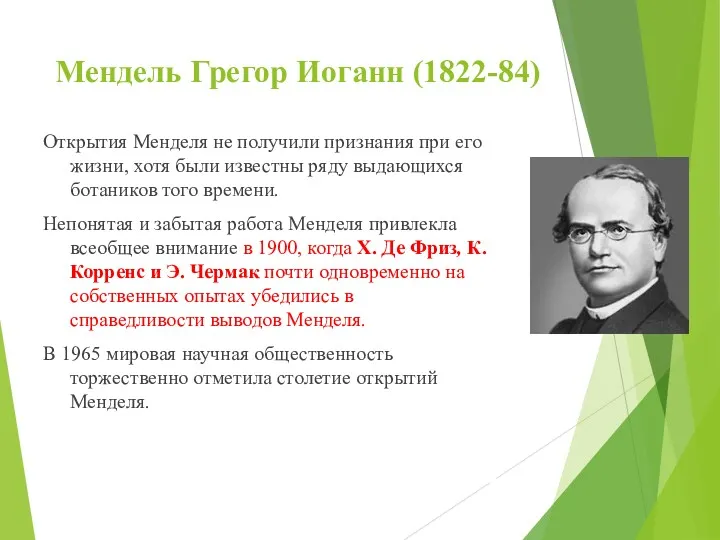 Мендель Грегор Иоганн (1822-84) Открытия Менделя не получили признания при