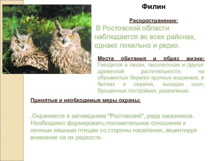 Филин Распространение: В Ростовской области наблюдается во всех районах, однако
