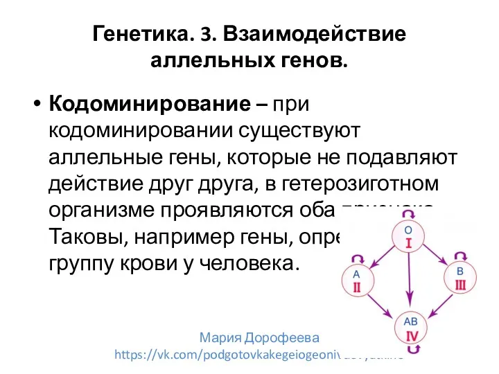 Генетика. 3. Взаимодействие аллельных генов. Кодоминирование – при кодоминировании существуют аллельные гены, которые