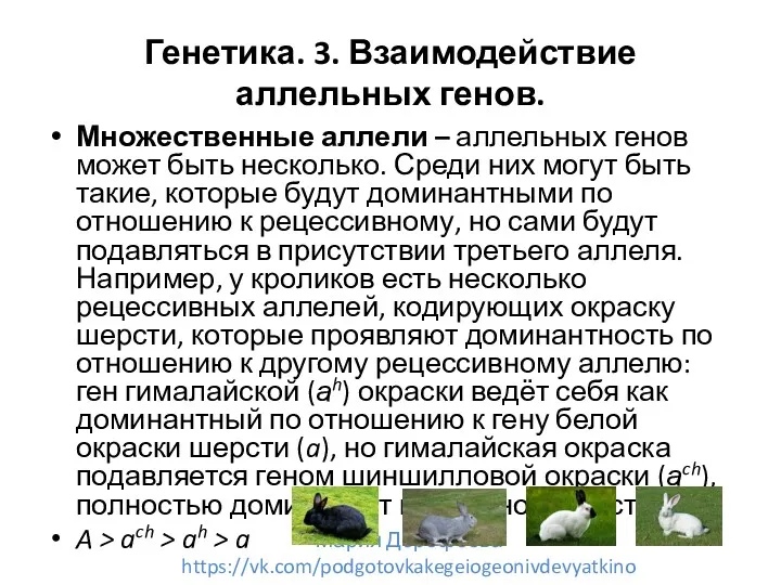 Генетика. 3. Взаимодействие аллельных генов. Множественные аллели – аллельных генов может быть несколько.