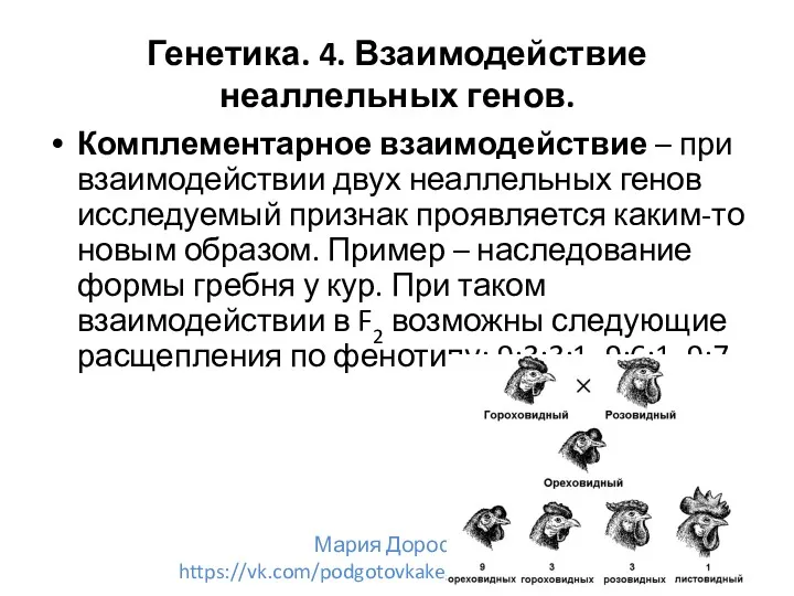 Генетика. 4. Взаимодействие неаллельных генов. Комплементарное взаимодействие – при взаимодействии двух неаллельных генов