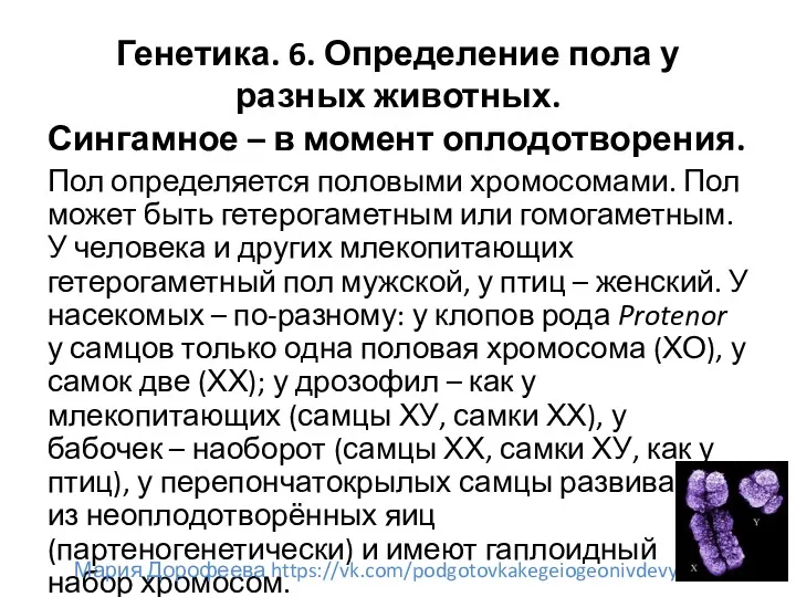 Генетика. 6. Определение пола у разных животных. Сингамное – в момент оплодотворения. Пол