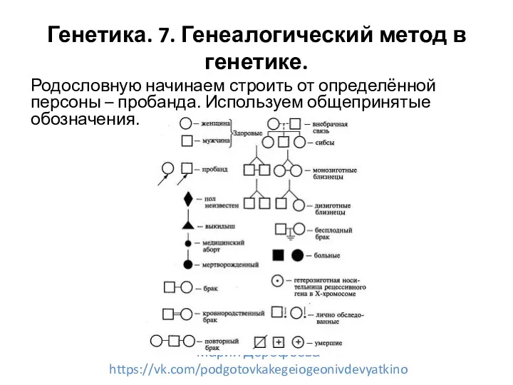 Генетика. 7. Генеалогический метод в генетике. Родословную начинаем строить от