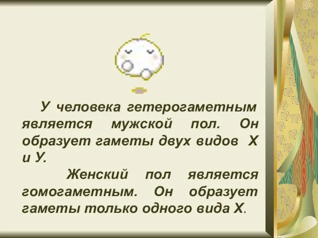 У человека гетерогаметным является мужской пол. Он образует гаметы двух