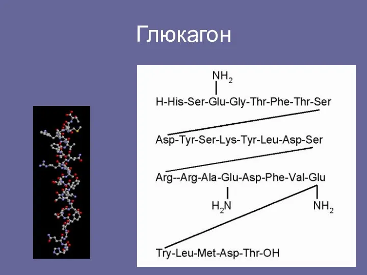 Глюкагон