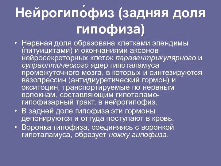 Нейрогипо́физ (задняя доля гипофиза) Нервная доля образована клетками эпендимы (питуицитами)