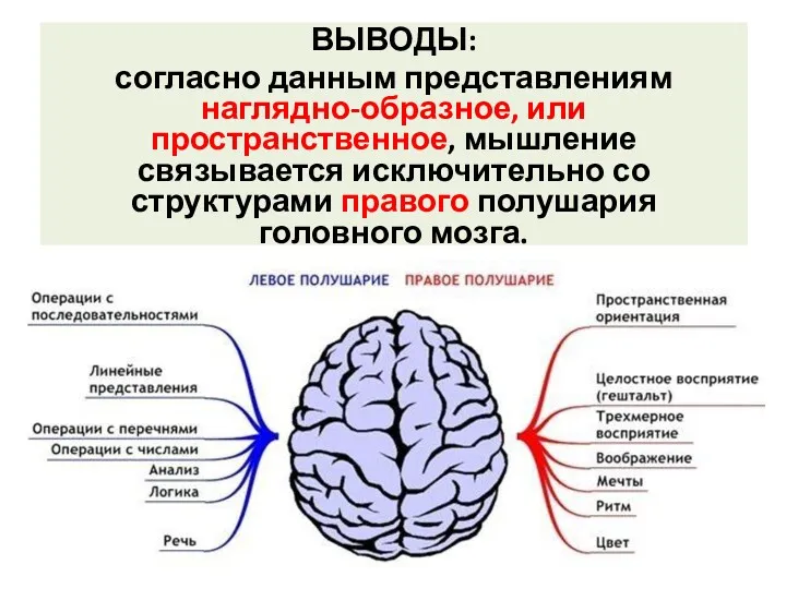 ВЫВОДЫ: согласно данным представлениям наглядно-образное, или пространственное, мышление связывается исключительно со структурами правого полушария головного мозга.