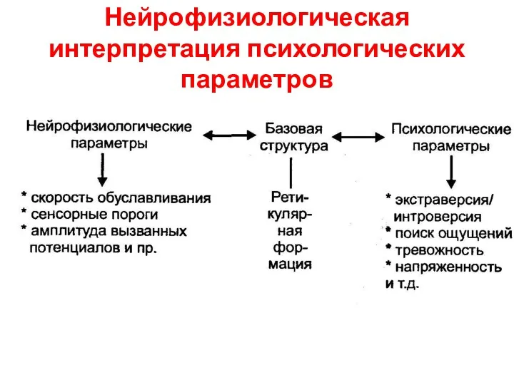 Нейрофизиологическая интерпретация психологических параметров