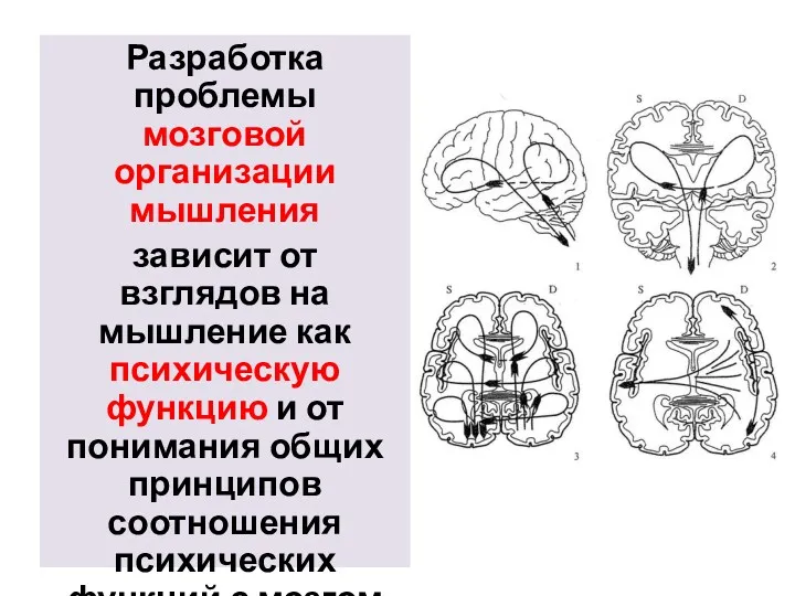 Разработка проблемы мозговой организации мышления зависит от взглядов на мышление как психическую функцию