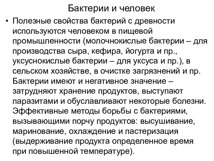 Полезные свойства бактерий с древности используются человеком в пищевой промышленности