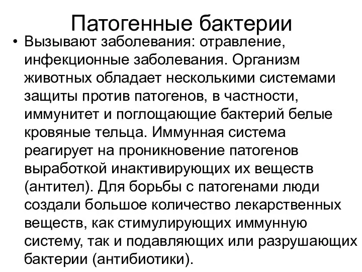 Патогенные бактерии Вызывают заболевания: отравление, инфекционные заболевания. Организм животных обладает