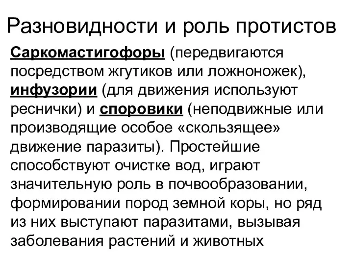 Разновидности и роль протистов Саркомастигофоры (передвигаются посредством жгутиков или ложноножек),