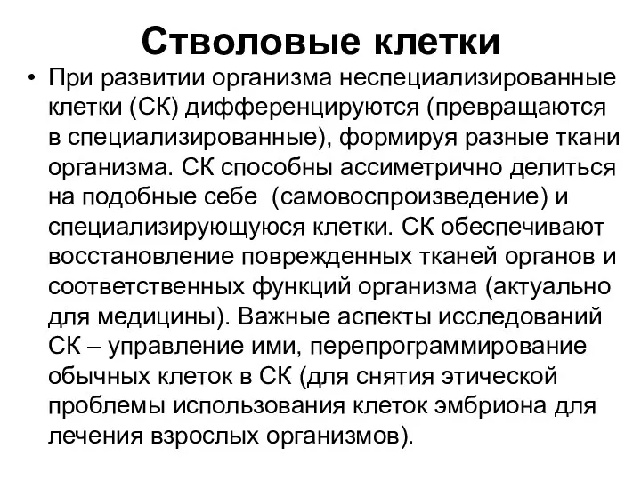 Стволовые клетки При развитии организма неспециализированные клетки (СК) дифференцируются (превращаются