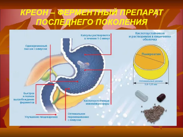 КРЕОН – ФЕРМЕНТНЫЙ ПРЕПАРАТ ПОСЛЕДНЕГО ПОКОЛЕНИЯ