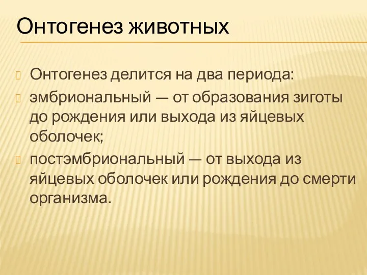 Онтогенез делится на два периода: эмбриональный — от образования зиготы