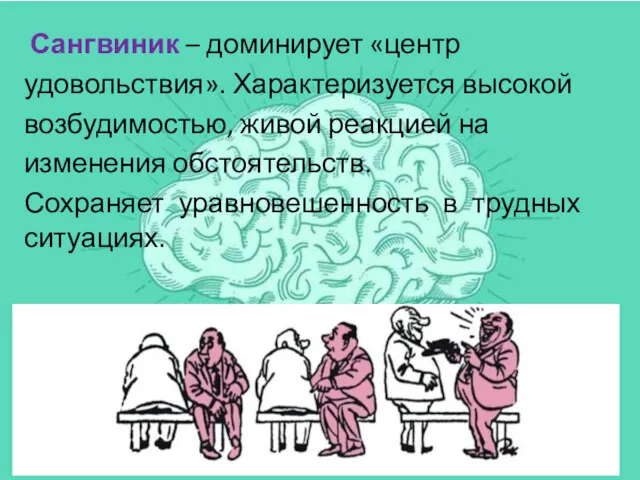 Сангвиник – доминирует «центр удовольствия». Характеризуется высокой возбудимостью, живой реакцией